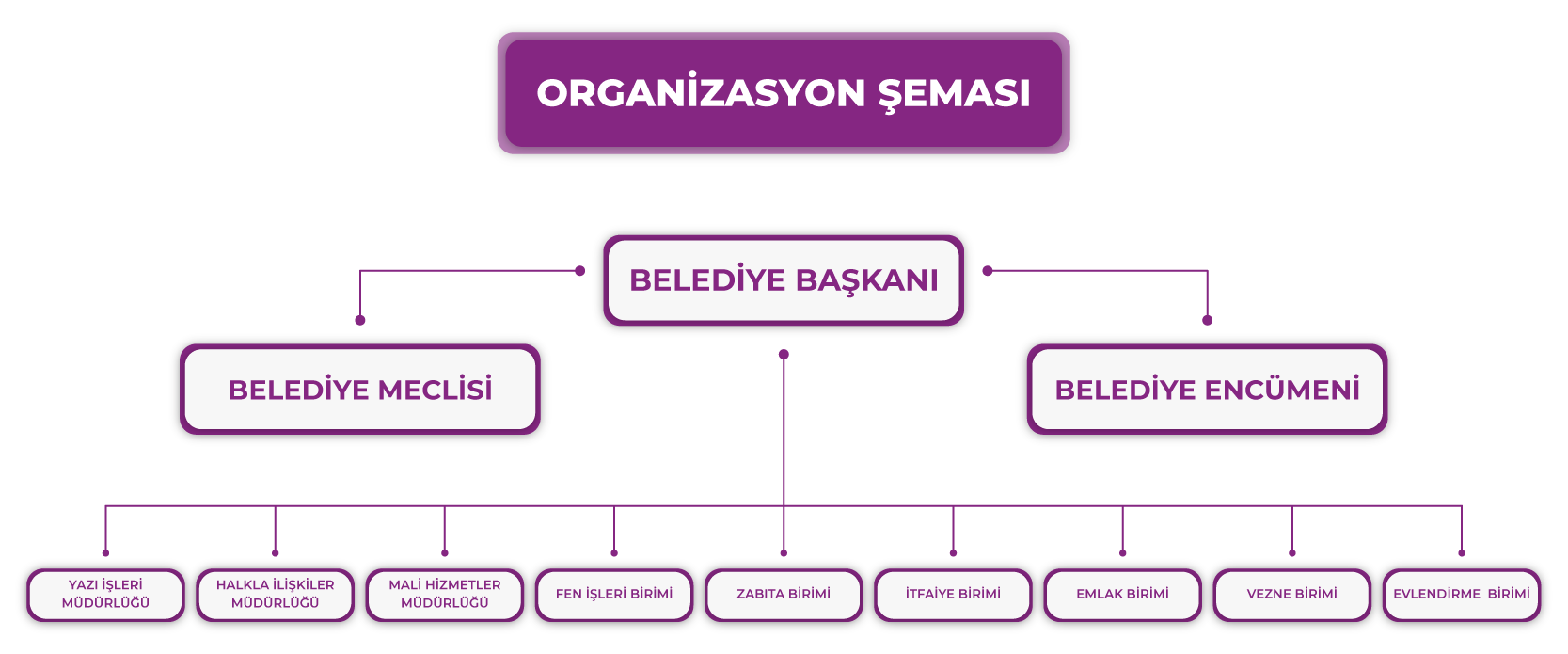 Organizasyon Şeması